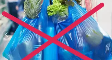 Скоро может быть введен запрет на использование неперерабатываемого пластика
